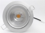 LED Down Light