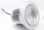 LED Down Light